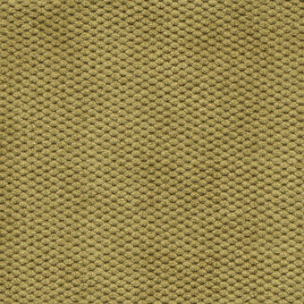 Olive-green velvet fabric sample displays a dense grid of raised circular textures, exhibiting a plush, three-dimensional surface; Bolzan Leti "800."